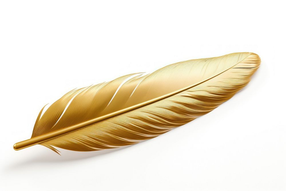 Feather jewelry gold leaf.