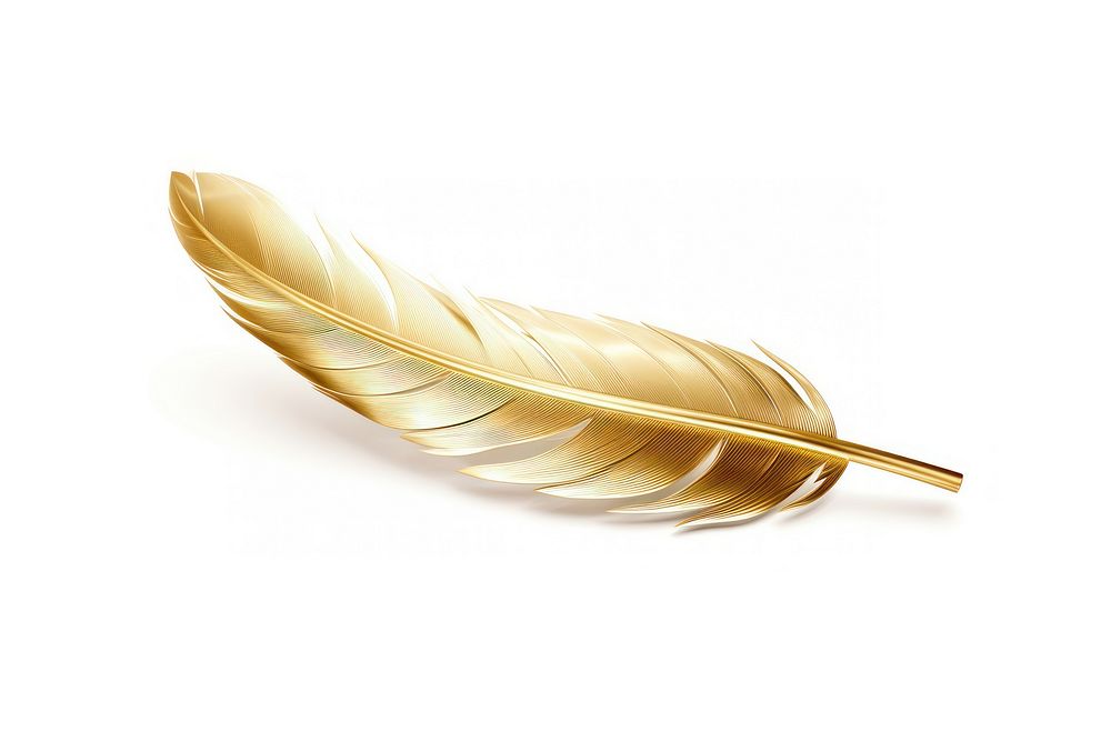 Feathers gold white background lightweight.