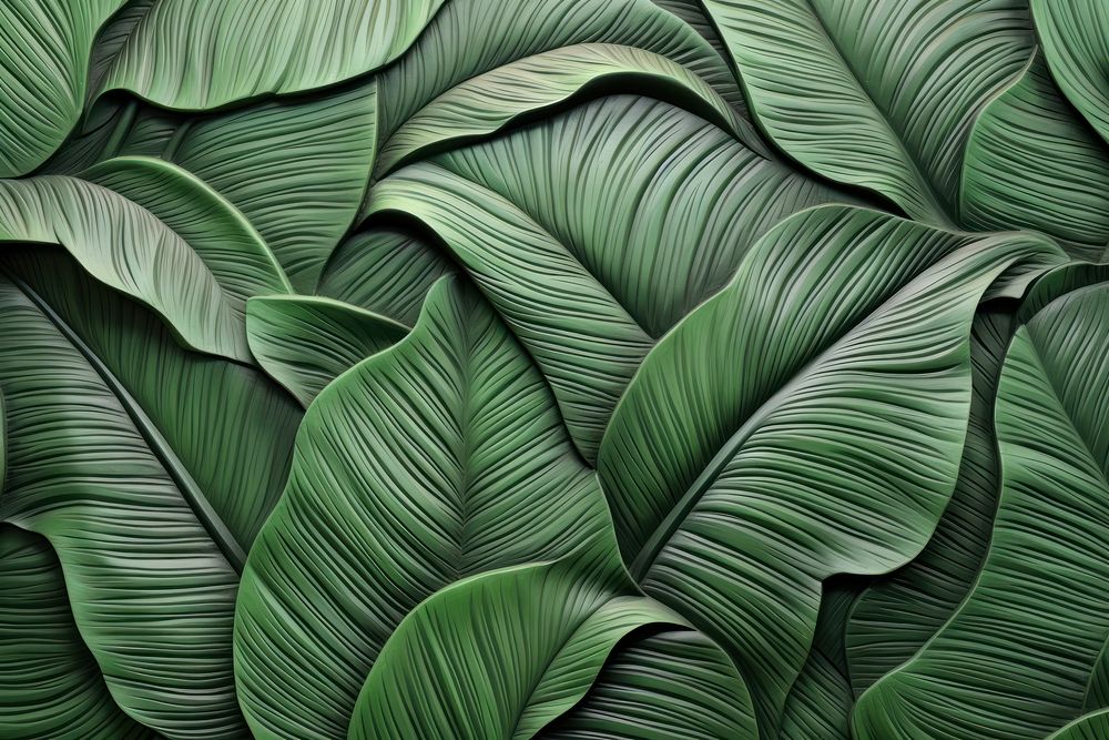 Banana leaf bas relief pattern plant green art.