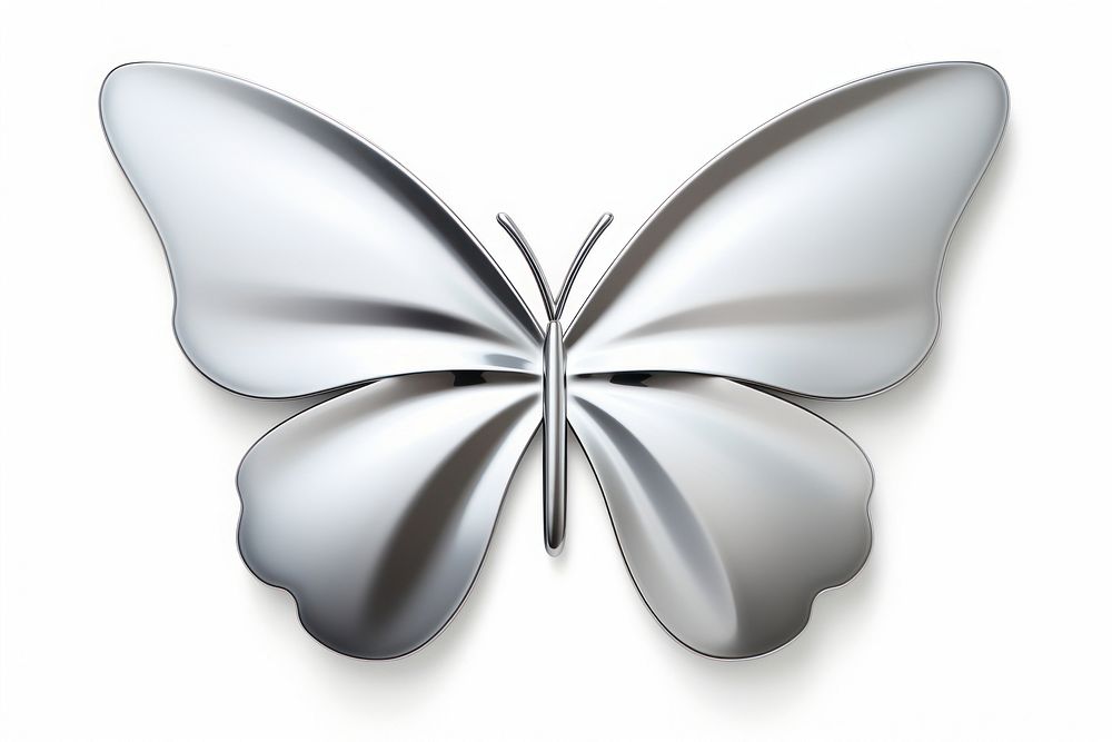 Butterfly silver white background accessories.