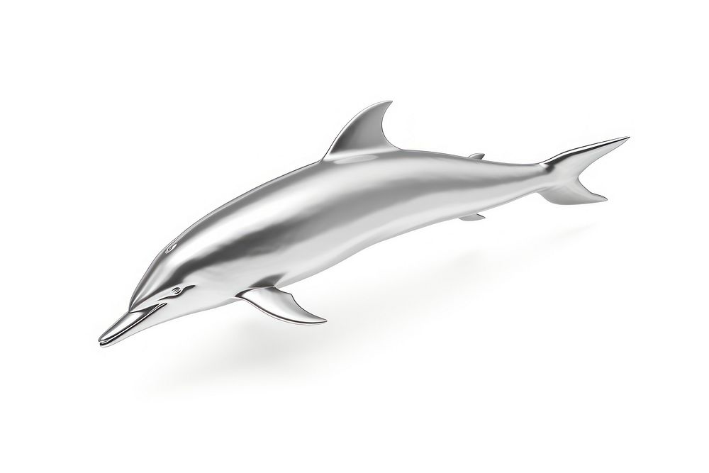 Dolphin animal mammal silver.