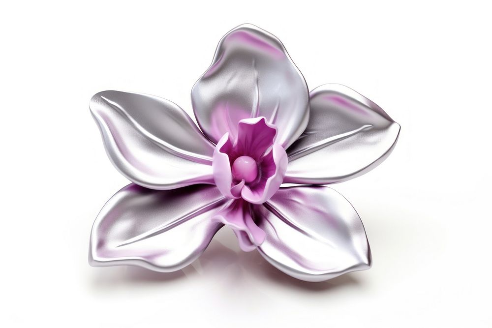 Flower orchid silver petal.