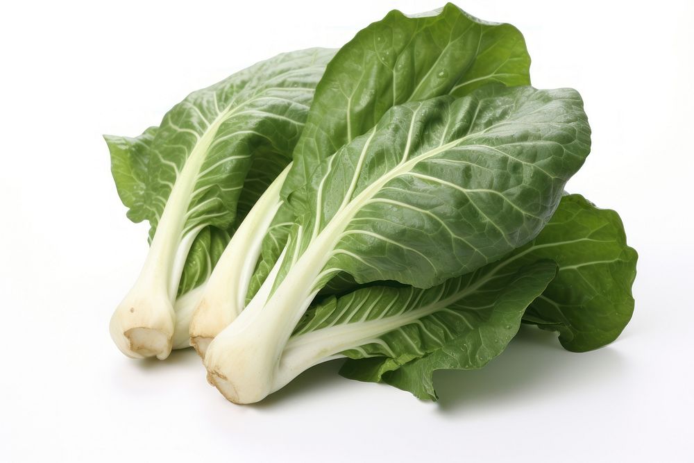 Bok choi vegetable plant food. AI generated Image by rawpixel.
