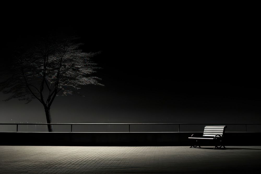 Photography twilight monochrome bench black.