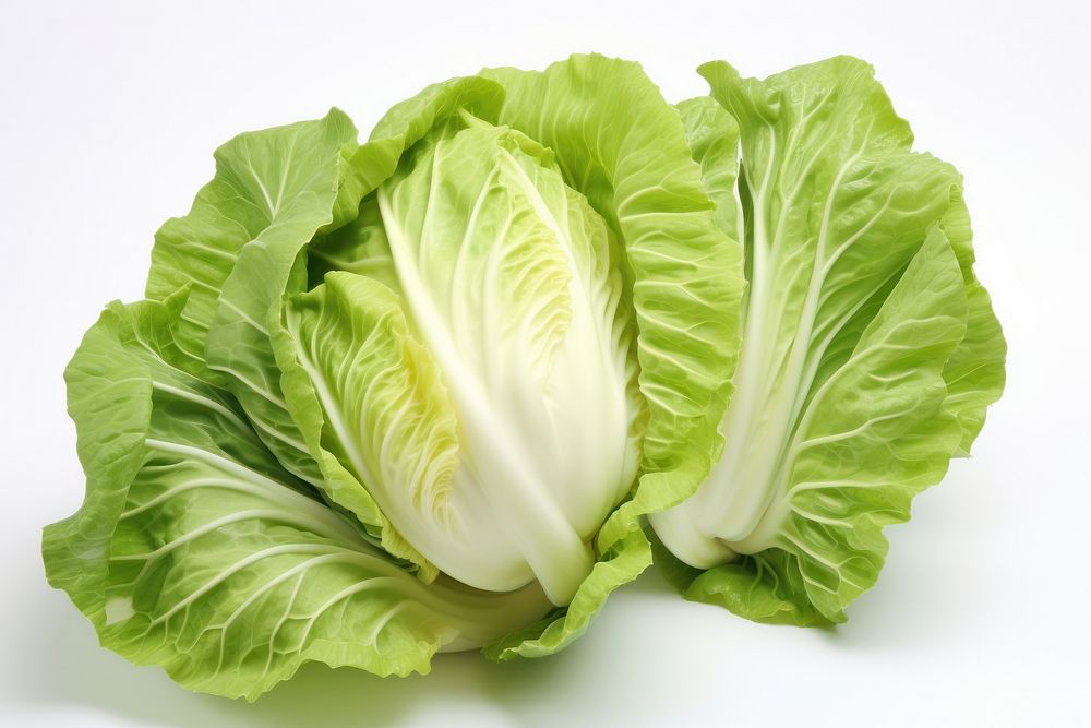 Cabbage vegetable lettuce plant. AI generated Image by rawpixel.