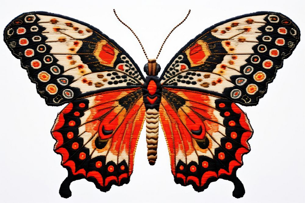 Butterfly animal insect invertebrate.