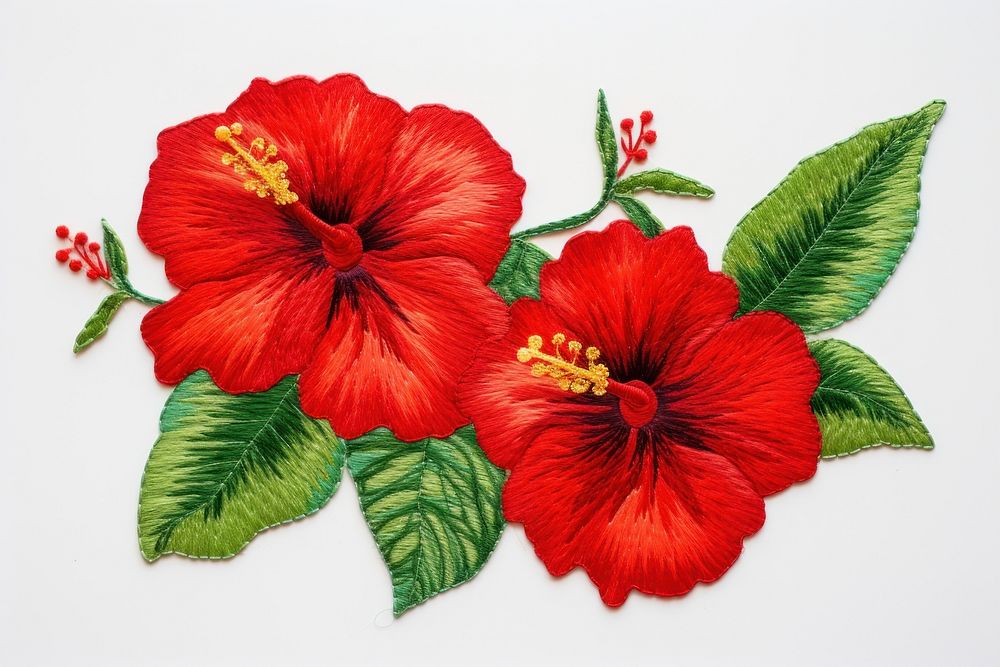 Embroidery hibiscus flower plant.