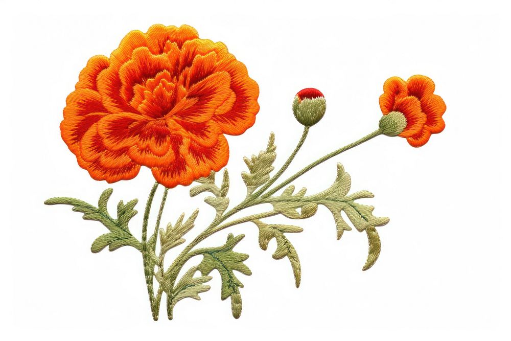 Embroidery marigold flower plant.