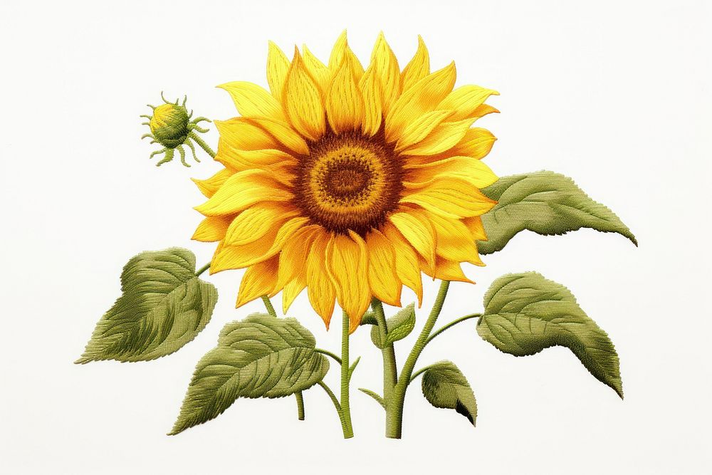 Sunflower in embroidery style plant inflorescence creativity.