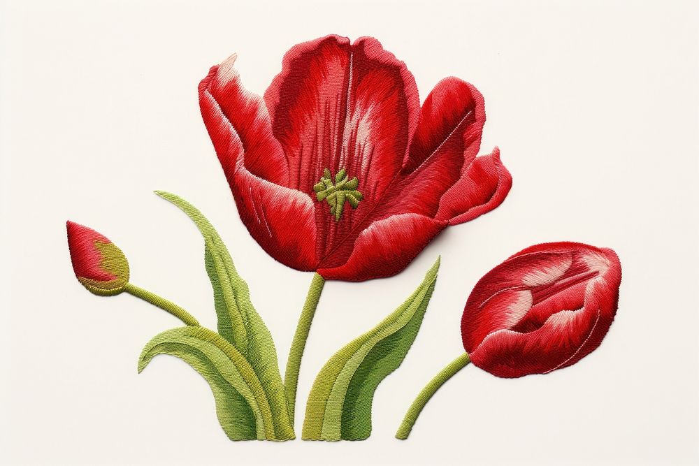 Tulip in embroidery style flower petal plant.