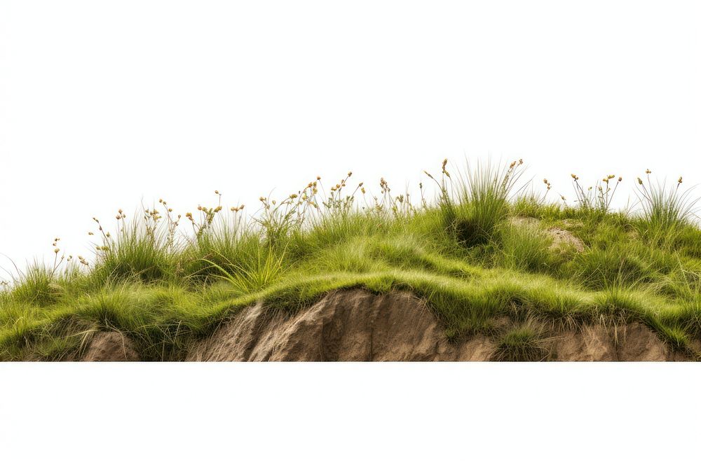 Wild grass hills landscape nature grassland. AI generated Image by rawpixel.