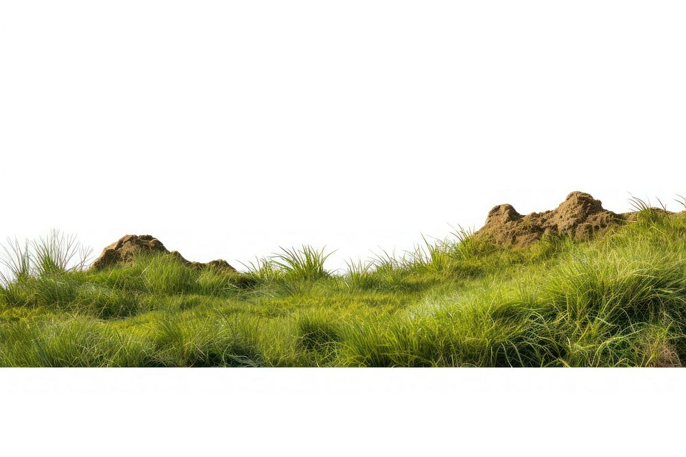Wild grass hills landscape nature vegetation. AI generated Image by rawpixel.