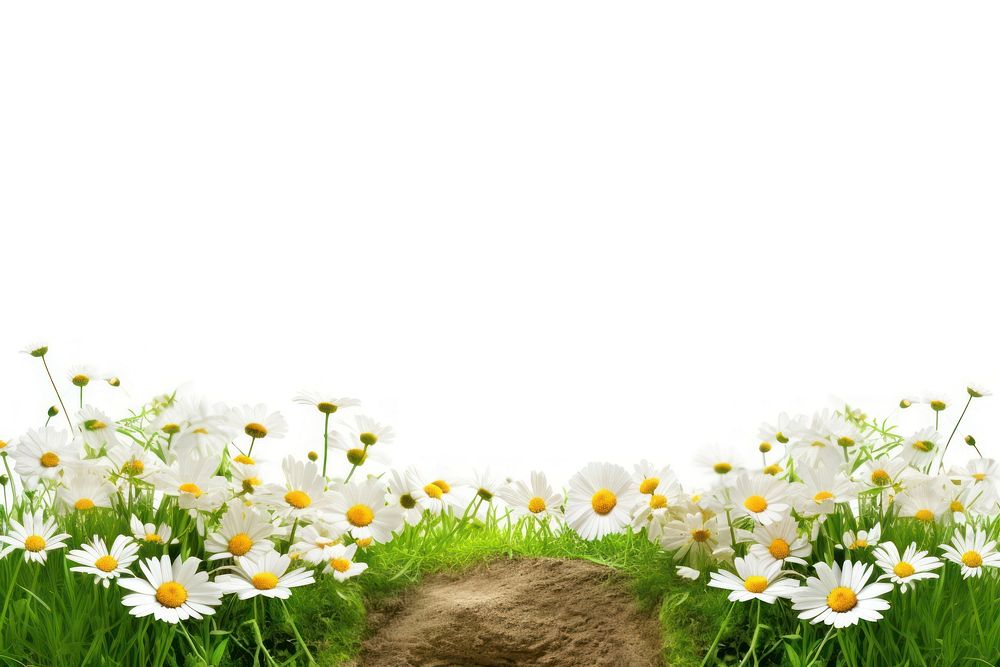 Landscape daisy hills nature outdoors flower. AI generated Image by rawpixel.