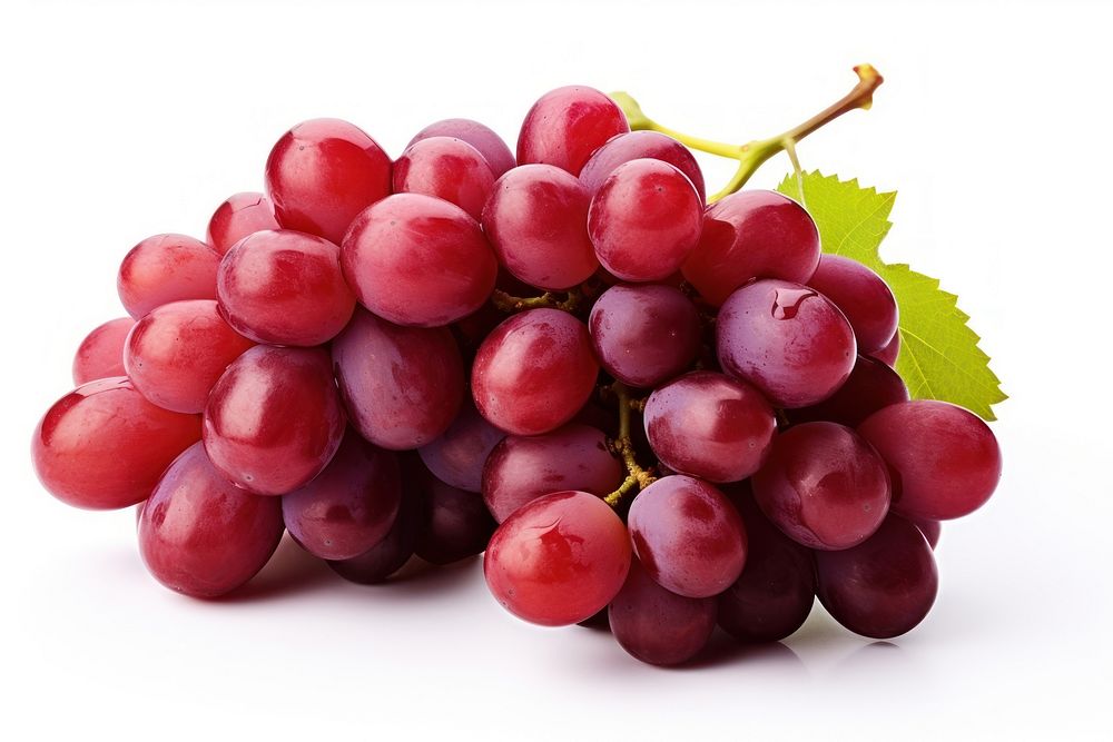 Red wine grapes fruit plant.
