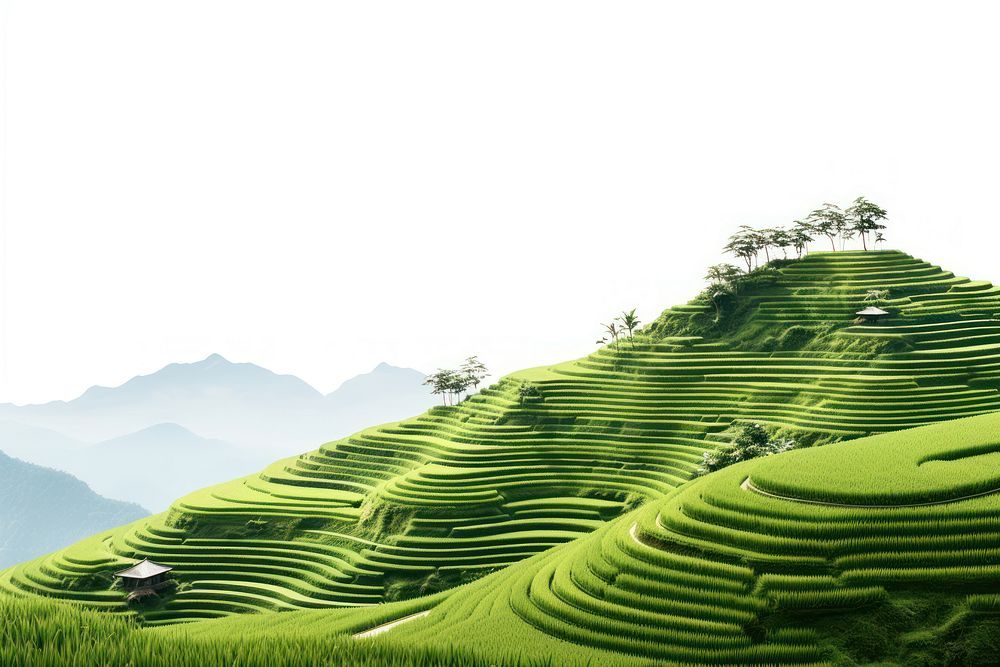 Rice terraces landscape nature outdoors. AI generated Image by rawpixel.