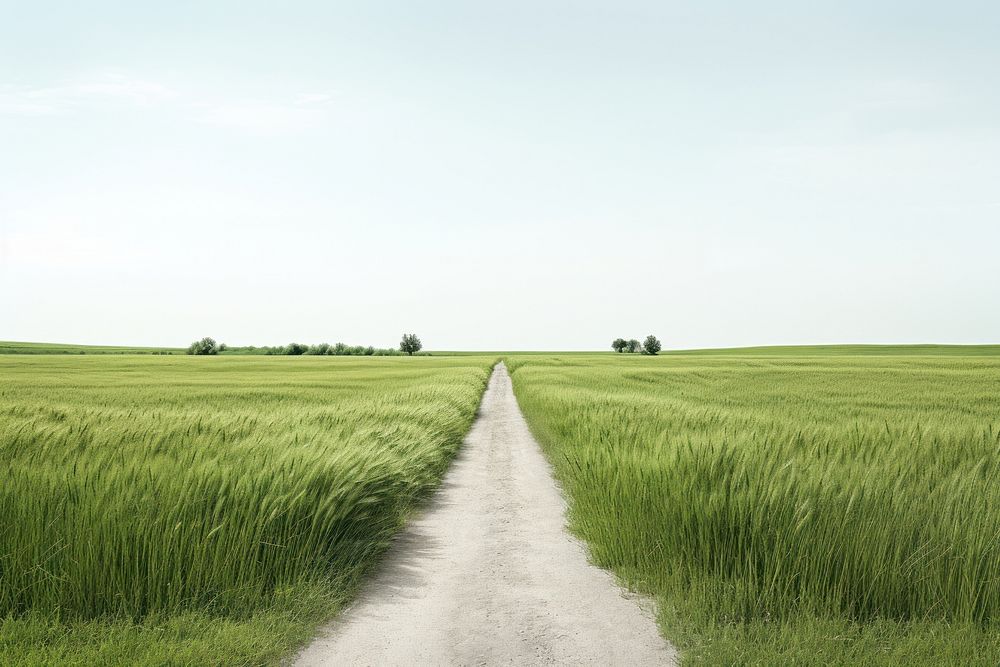 Road through grass field landscape nature outdoors. AI generated Image by rawpixel.