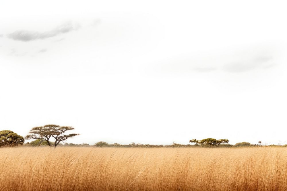 Savanna grass field landscape nature grassland. AI generated Image by rawpixel.