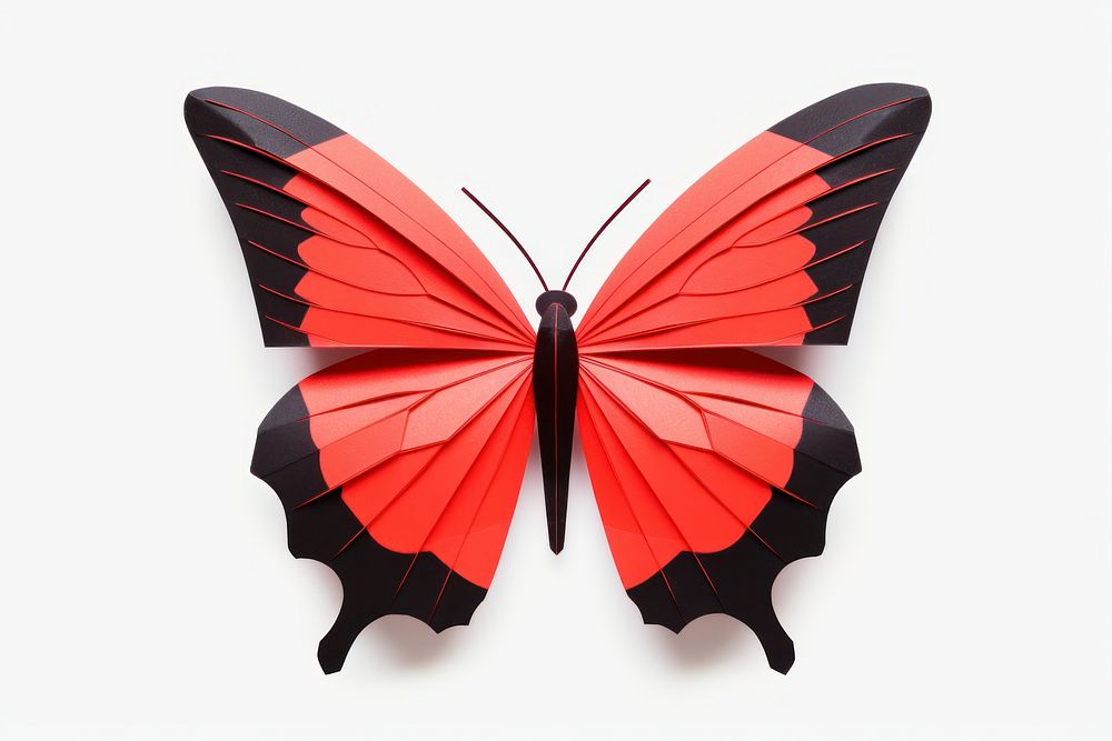 Paper craft butterfly animal insect.