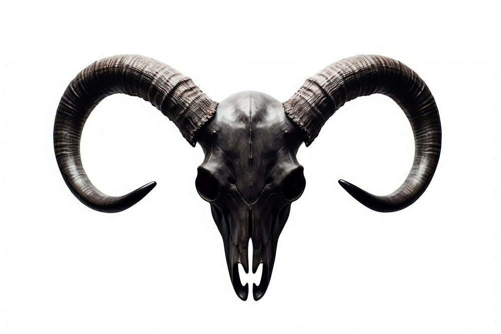 Gothic wildlife buffalo animal.