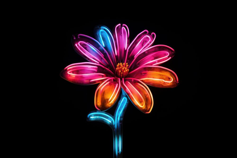 Neon flower light plant.