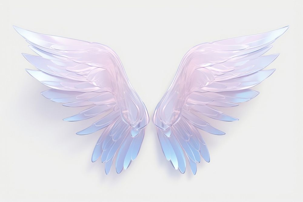 Angel wings angel bird white background.