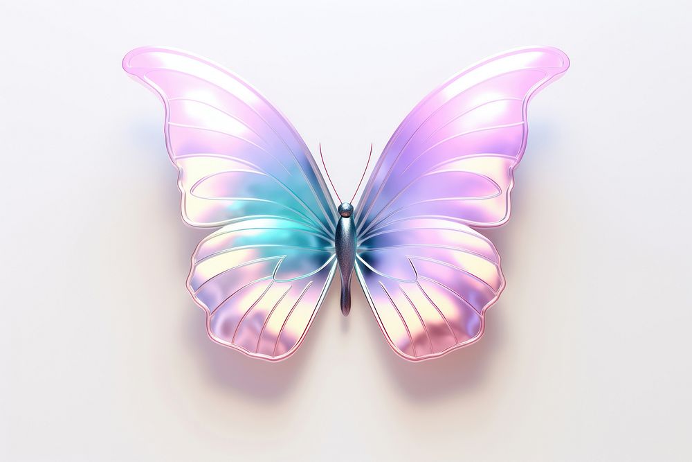 Butterfly graphics insect white background.