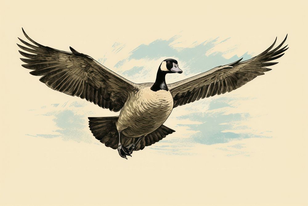 Japanese goose flying animal bird | Free Photo Illustration - rawpixel