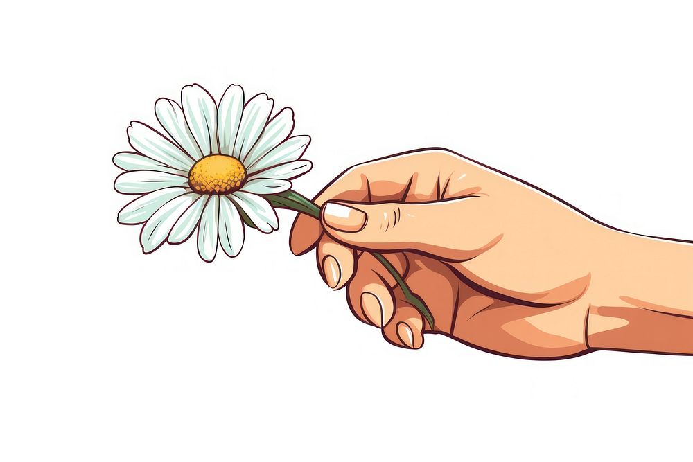 Human hand holding a daisy flower cartoon finger petal.