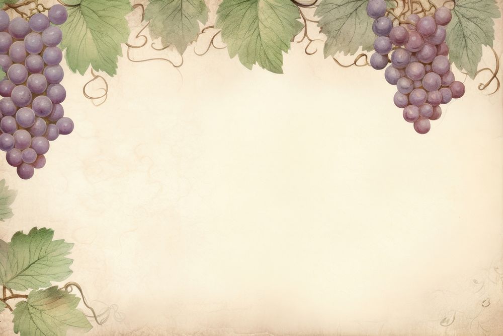 Illustration of grapes frame backgrounds fruit plant.