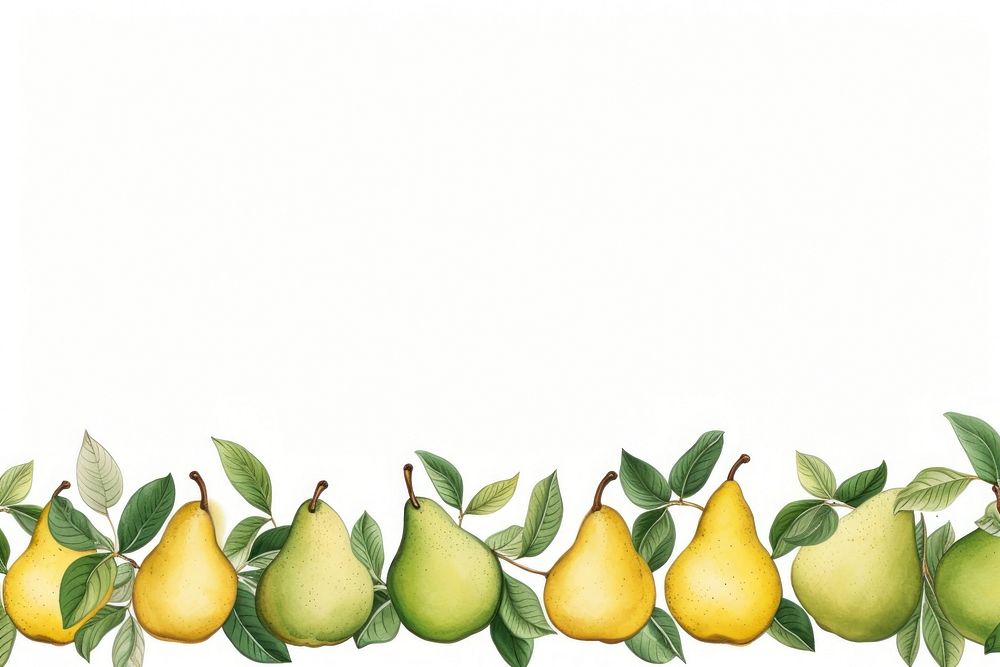 Pear fruit plant food.