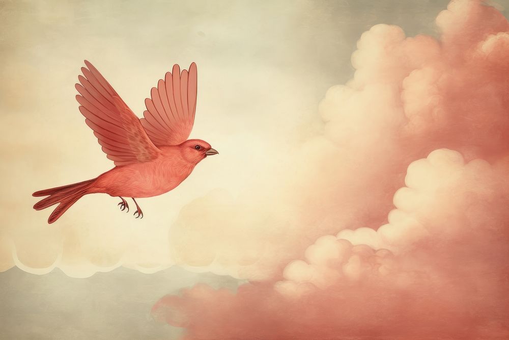 Illustration of red bird with cloud painting animal flying.
