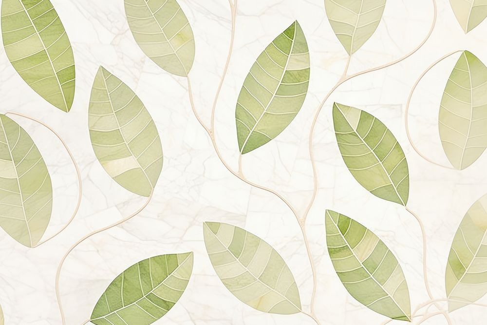 Pattern leaf backgrounds plant.