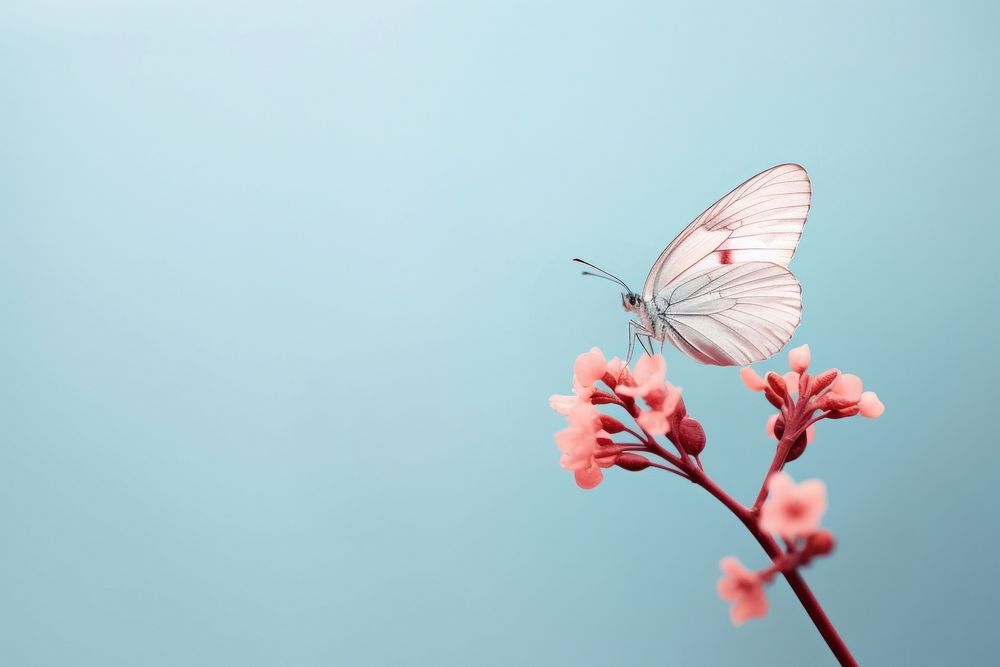 Butterfly butterfly flower outdoors. AI generated Image by rawpixel.