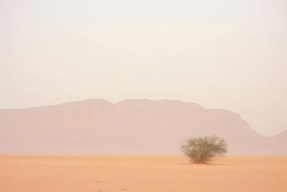 Desert landscape outdoors nature.