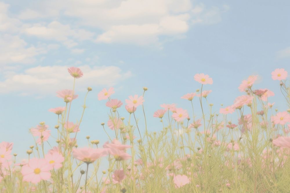  Flower backgrounds landscape grassland. AI generated Image by rawpixel.