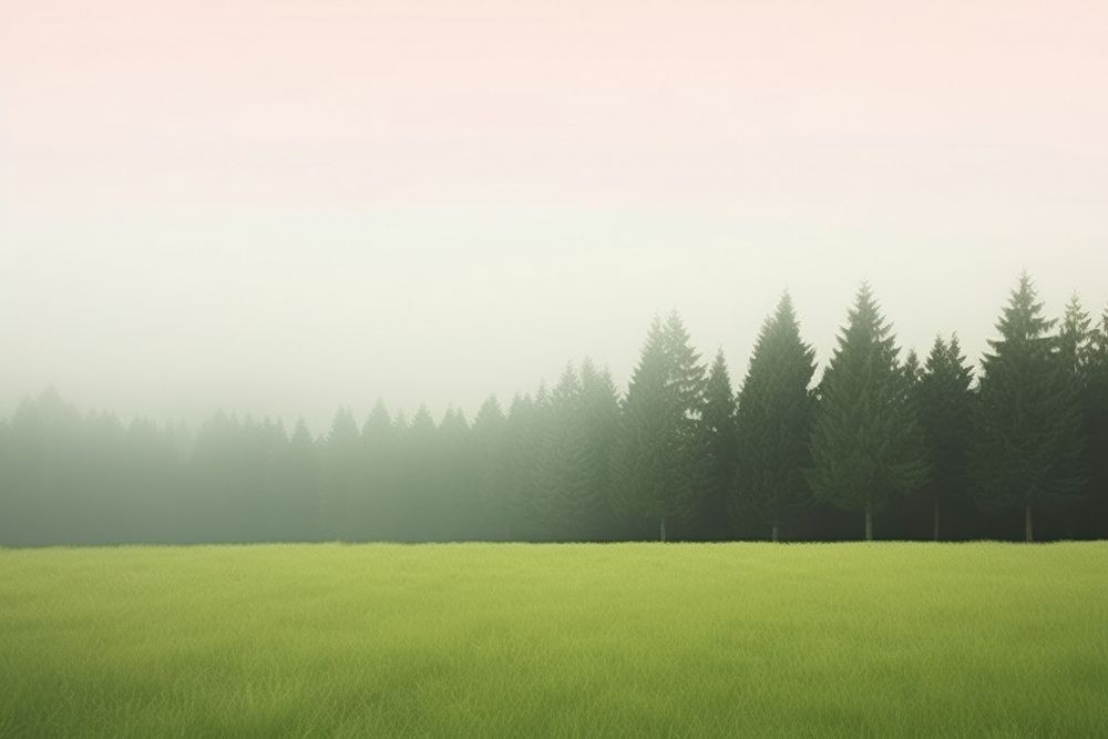 Forest field landscape grassland. AI generated Image by rawpixel.