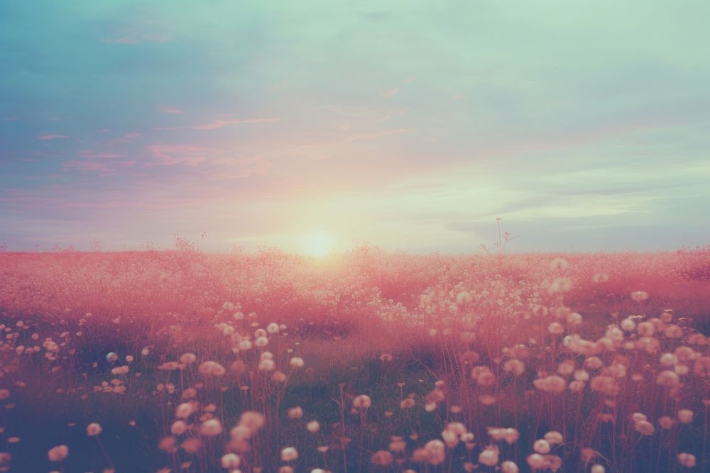  Flower field backgrounds landscape grassland. AI generated Image by rawpixel.