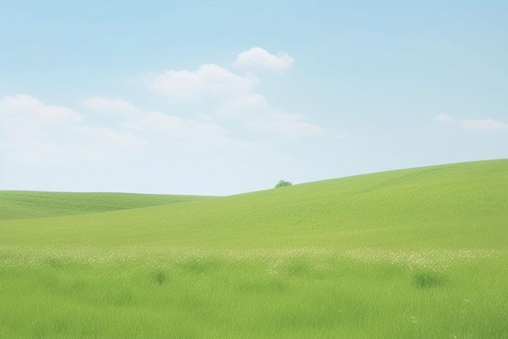 Green meadow backgrounds landscape outdoors.