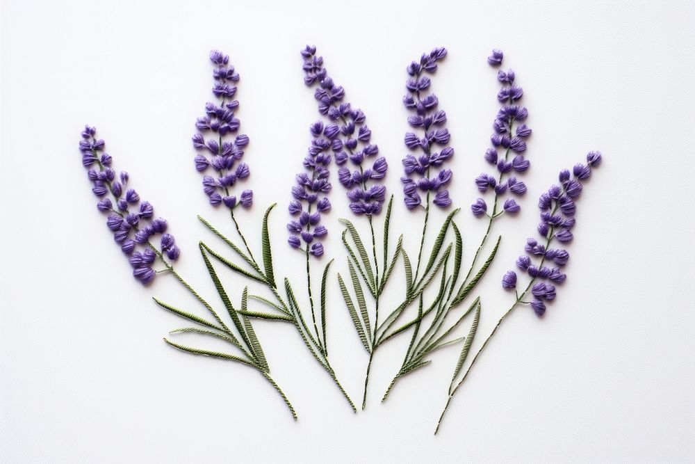 Lavenderin embroidery style flower plant inflorescence.
