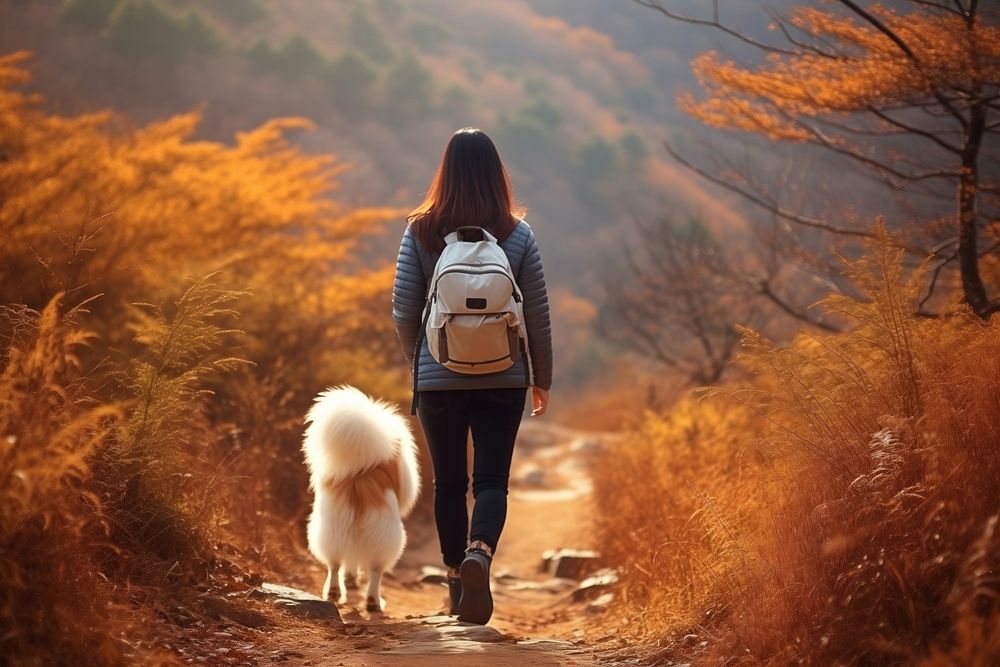 Korean dog pet backpack. AI generated Image by rawpixel.