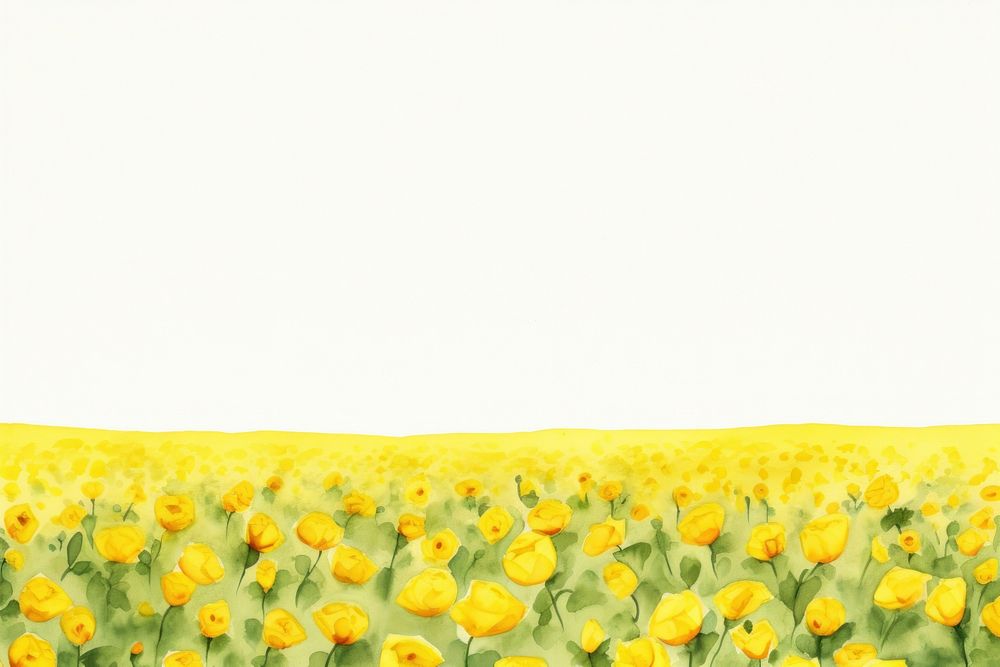 Yellow rose field nature backgrounds sunflower.
