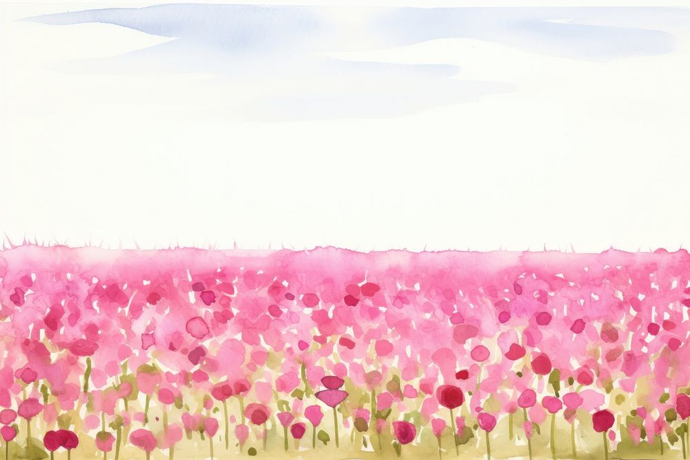 Pink flower field backgrounds outdoors nature.