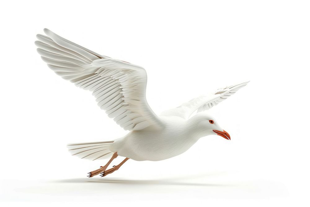 Seagull animal flying white.