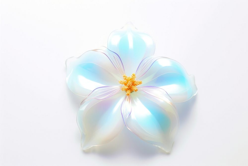 Jasmine flower jewelry nature petal.