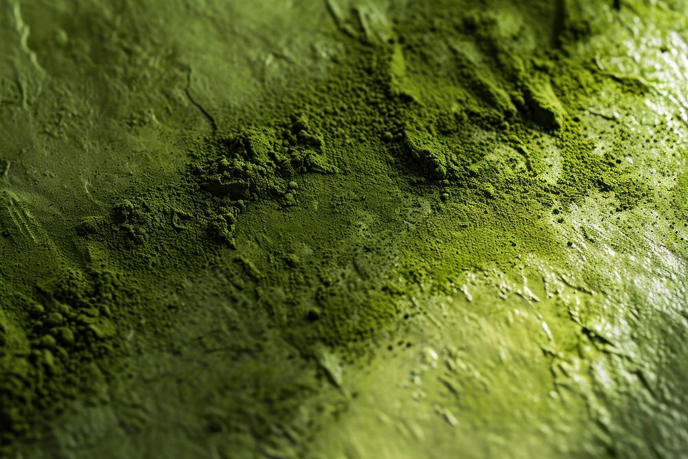 Matcha texture green algae.