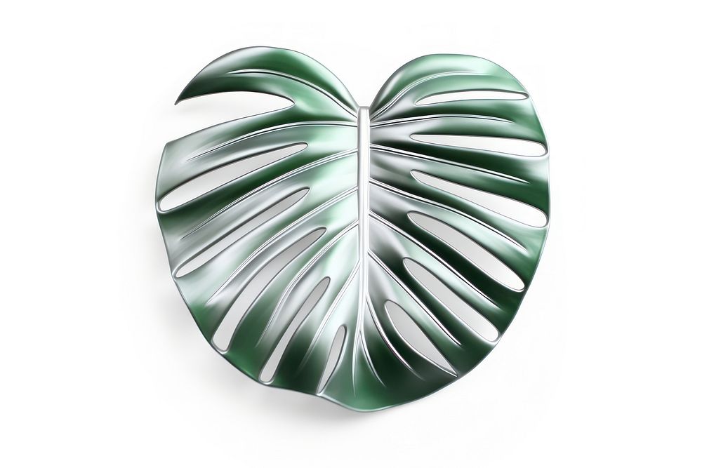Tropical leaf Chrome material plant white background accessories.