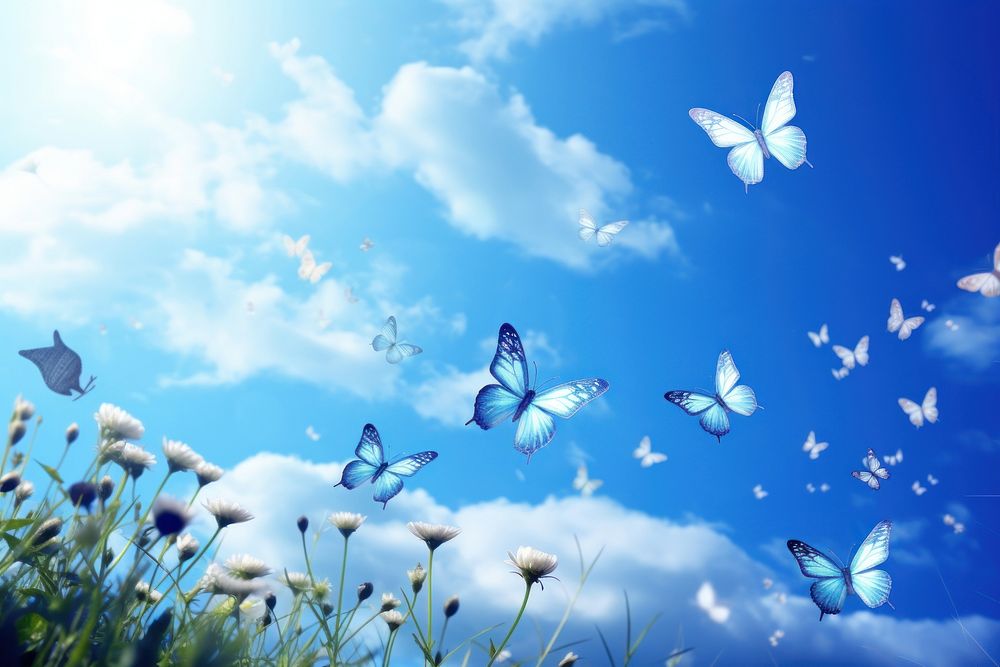 Blue sky and butterflies butterfly outdoors nature.