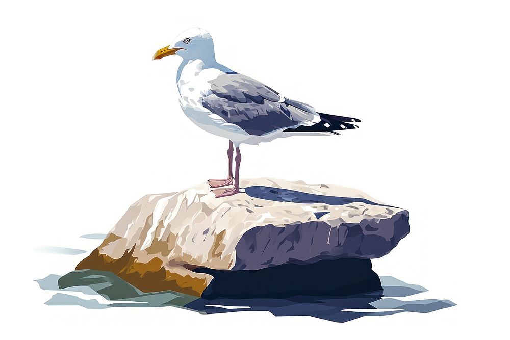 Seagull standing on the rock animal bird waterfowl.