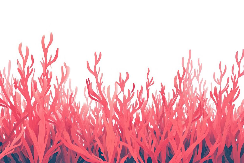 Red algae backgrounds outdoors nature.