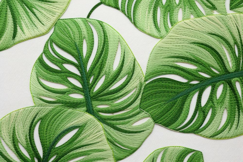 Monstera in embroidery style backgrounds pattern plant.